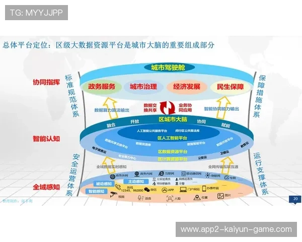 新闻中心深度分析社会公益行动部署强化数字经济布局，加强数字社会数字政府建设提升公共服务社会治理